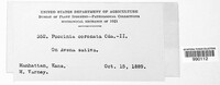 Image Associated With the Occurence